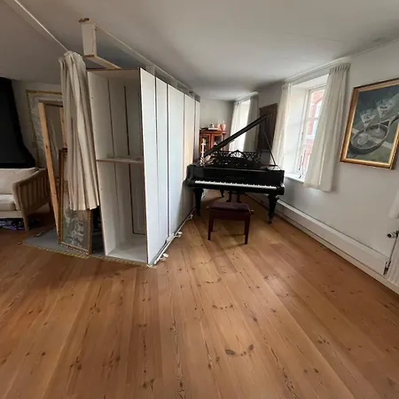 Large And Charming With A Huge Roof Terrace * Aalborg