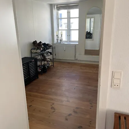 Large And Charming With A Huge Roof Terrace Lejlighed Aalborg