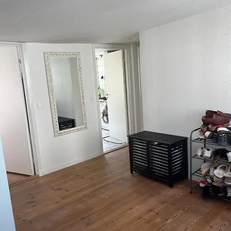 Large And Charming With A Huge Roof Terrace Lejlighed